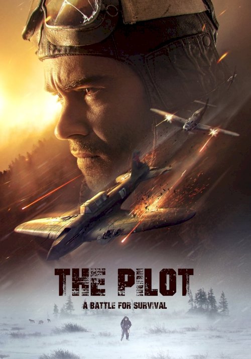 The Pilot. A Battle for Survival - poster