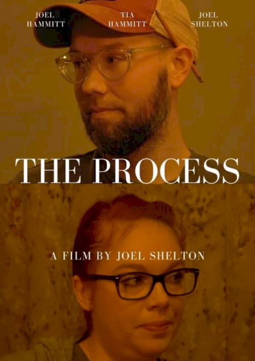 The Process - poster