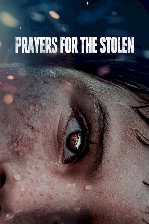 Prayers for the Stolen - poster