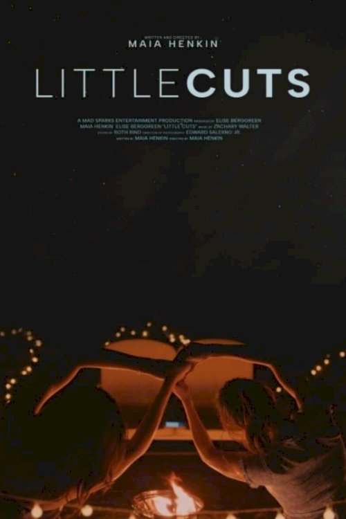 Little Cuts - poster