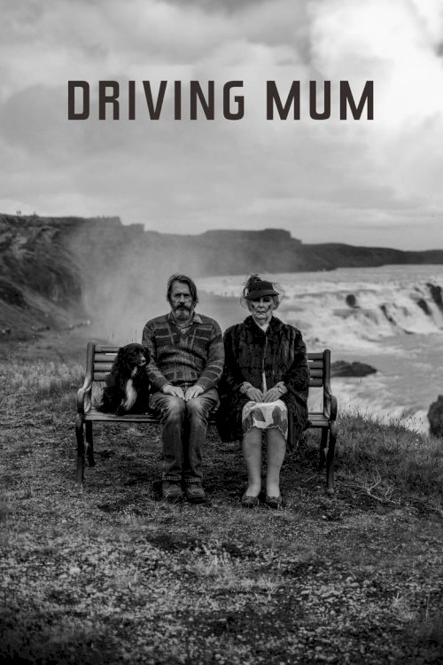 Driving Mum - poster