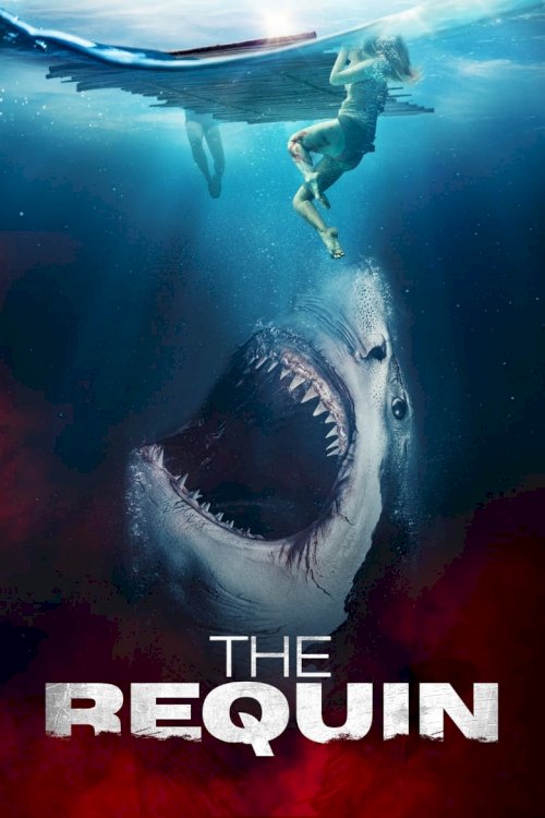 The Requin - poster