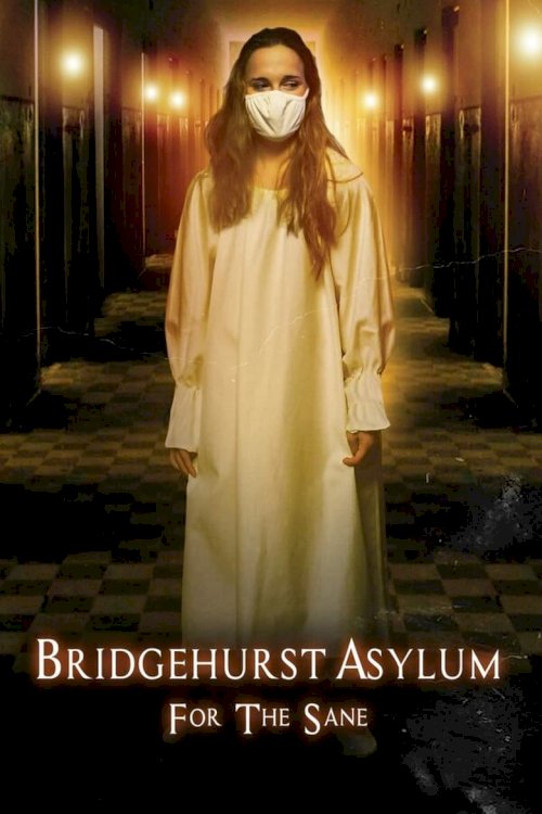 Bridgehurst Asylum for the Sane - poster