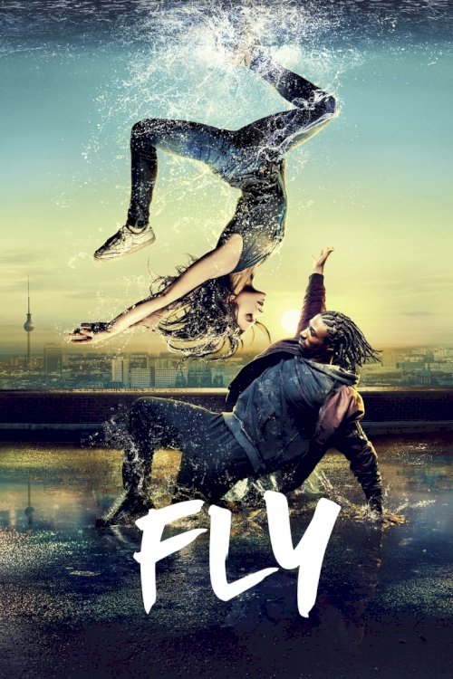 Fly - poster