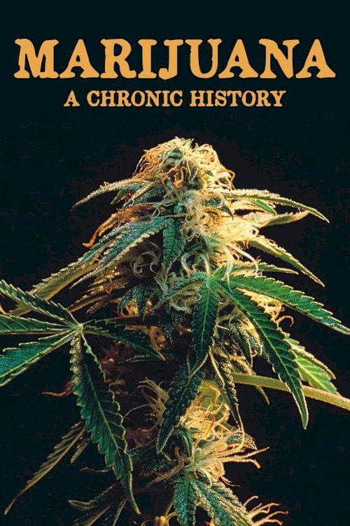 Marijuana: A Chronic History - poster