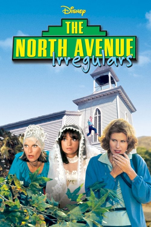 The North Avenue Irregulars - poster