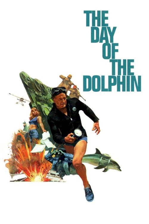 День дельфина - постер
