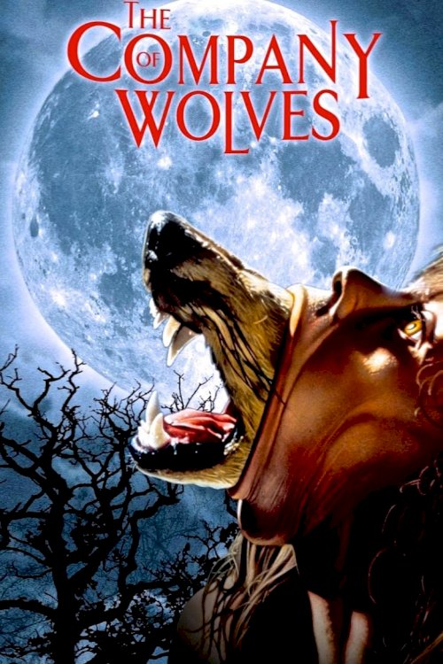 The Company of Wolves - poster