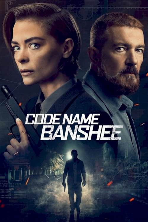 Code Name Banshee - poster