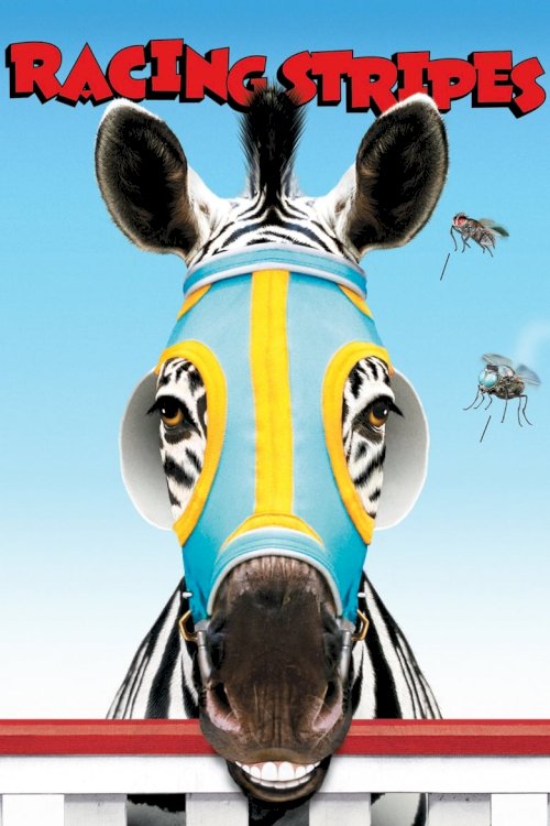Racing Stripes - poster