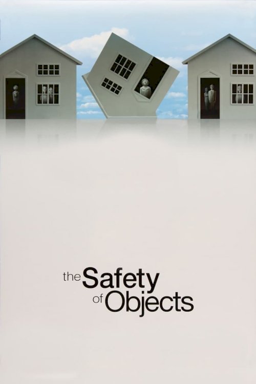 The Safety of Objects - posters