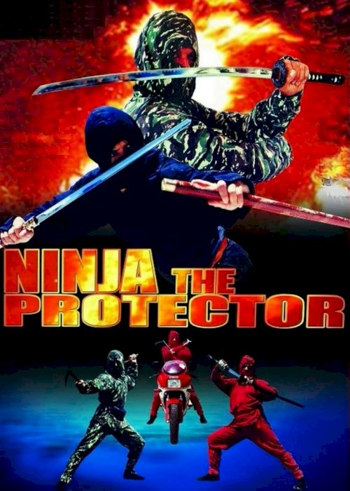 Ninja the Protector - posters