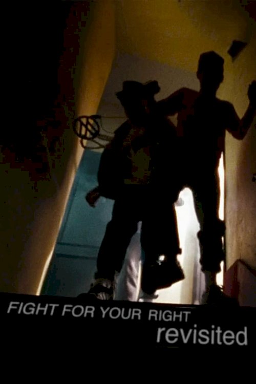 Fight for Your Right Revisited - poster