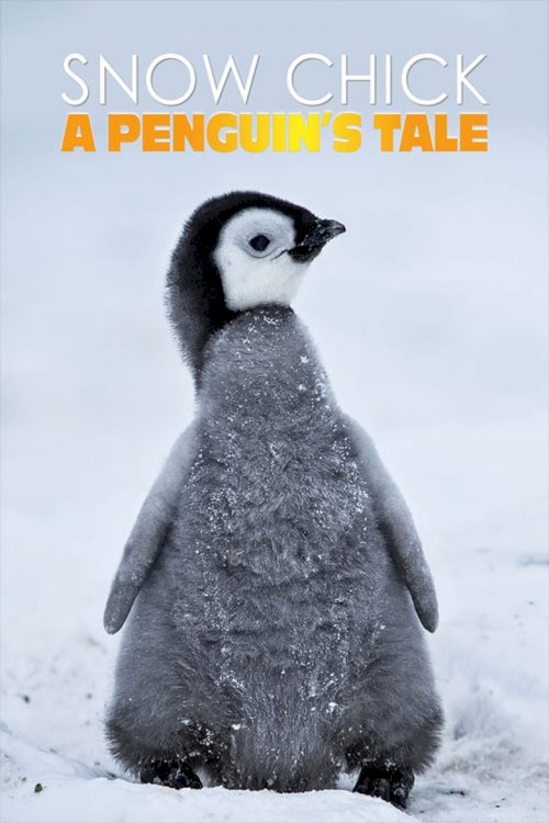 Snow Chick - A Penguin's Tale - poster