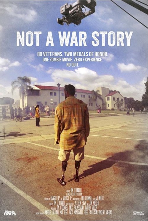 Not a War Story - posters