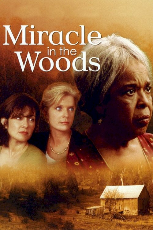 Miracle in the Woods - poster