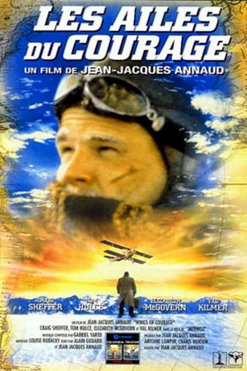 Wings of Courage - poster