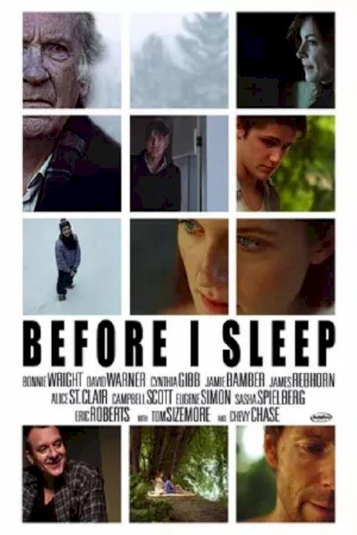 Before I Sleep - poster