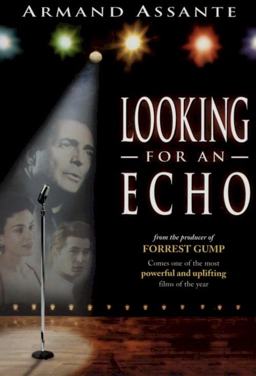 Looking for an Echo - постер