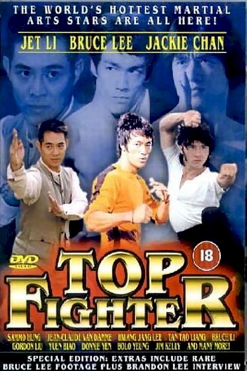 Top Fighter - posters