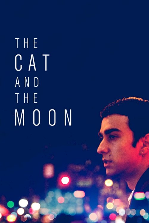 The Cat and the Moon - poster