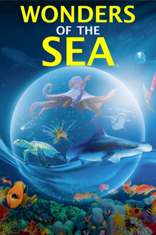 Чудеса моря 3D - постер
