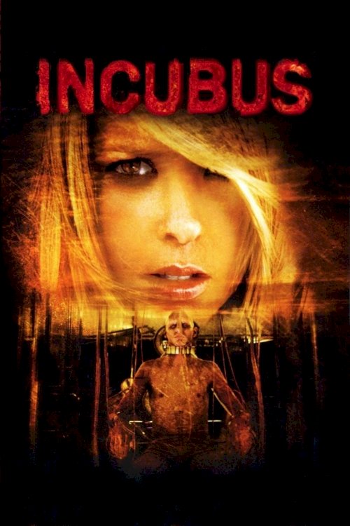 Incubus - poster