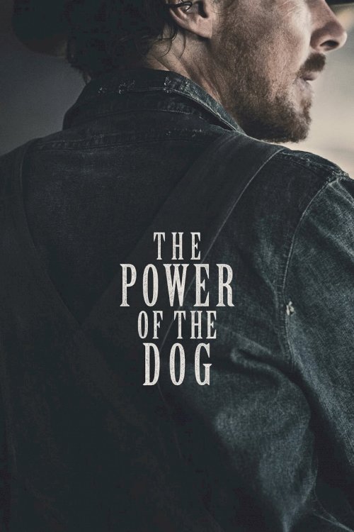 The Power of the Dog - poster