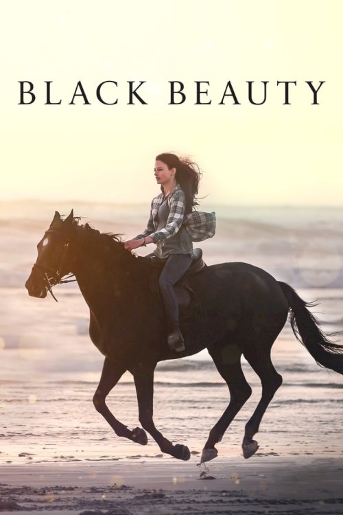 Чёрная красавица - постер