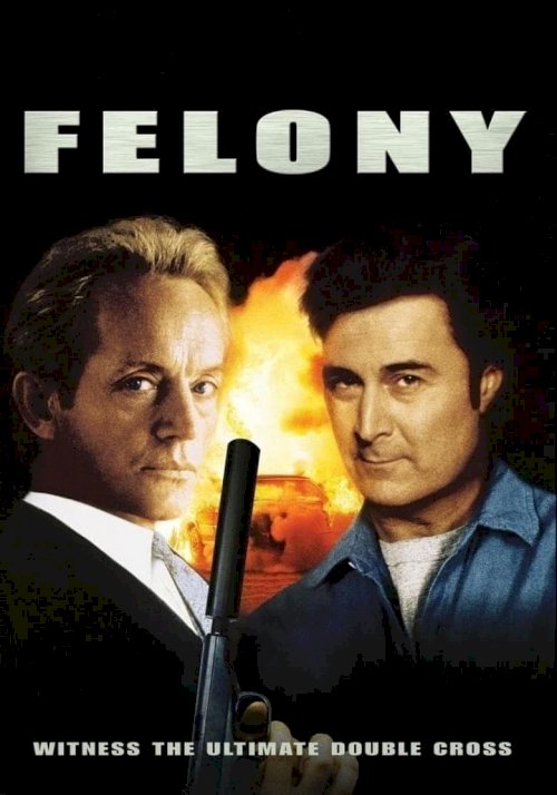 Felony - постер