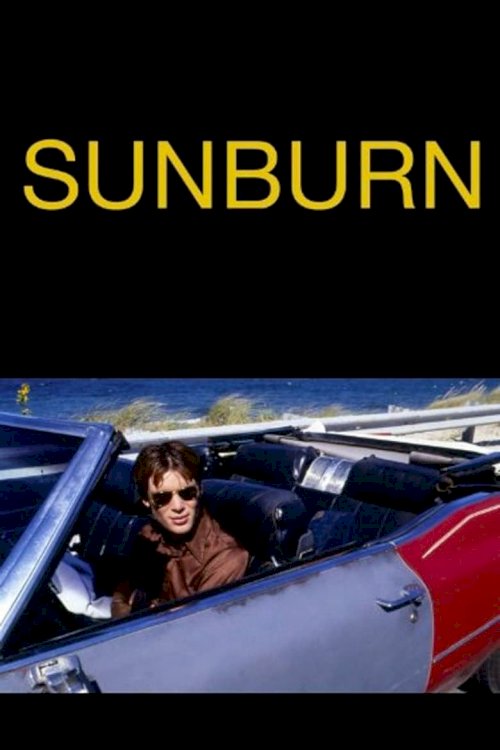 Sunburn - poster