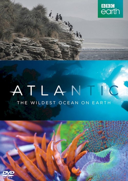 Atlantic: The Wildest Ocean on Earth - постер