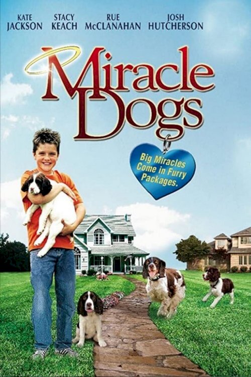 Miracle Dogs - poster