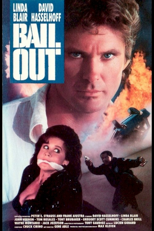 Bail Out - poster
