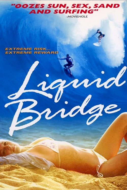 Liquid Bridge - постер