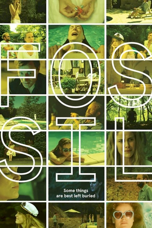 Fossil - poster