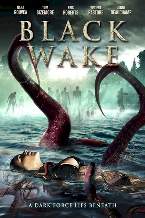 Black Wake - poster