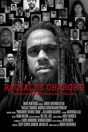 Racially Charged: America's Misdemeanor Problem - posters