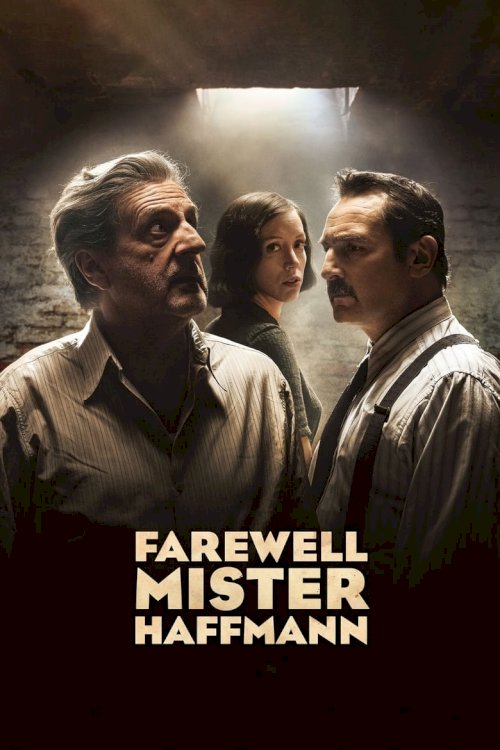 Farewell Mister Haffmann - poster