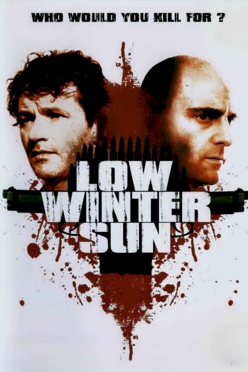 Low Winter Sun - poster