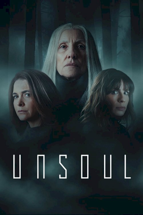 Unsoul - posters