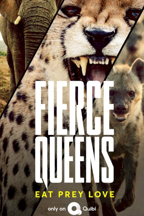 Fierce Queens - постер