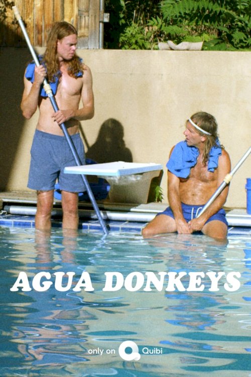 Agua Donkeys - poster