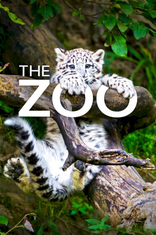 The Zoo - poster