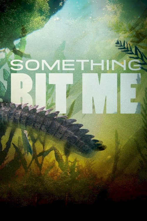 Something Bit Me! - poster