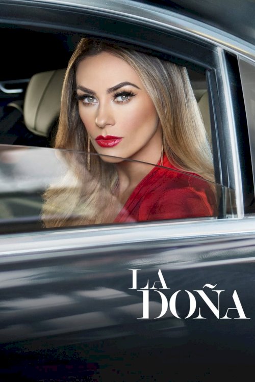 La Doña - poster