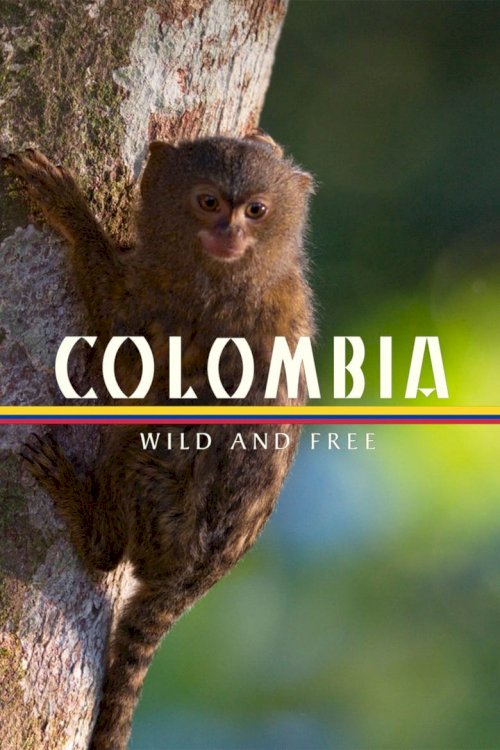 Colombia -- Wild and Free - poster