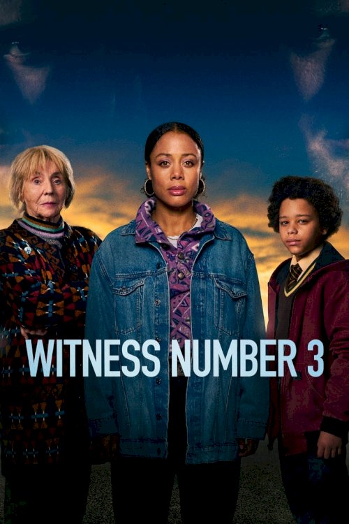 Witness Number 3 - постер