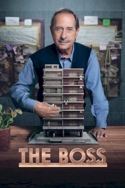 The Boss - poster