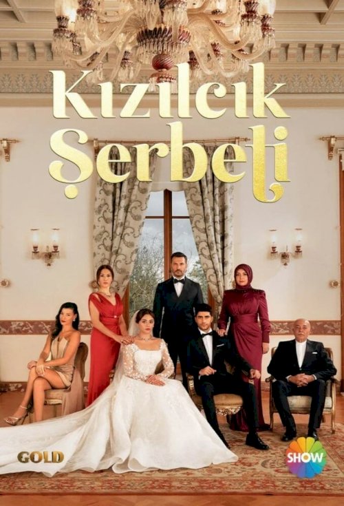 Kızılcık Şerbeti - poster